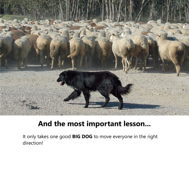 Management-Lessons-from-the-Dog-Park-by-Rosenof-back