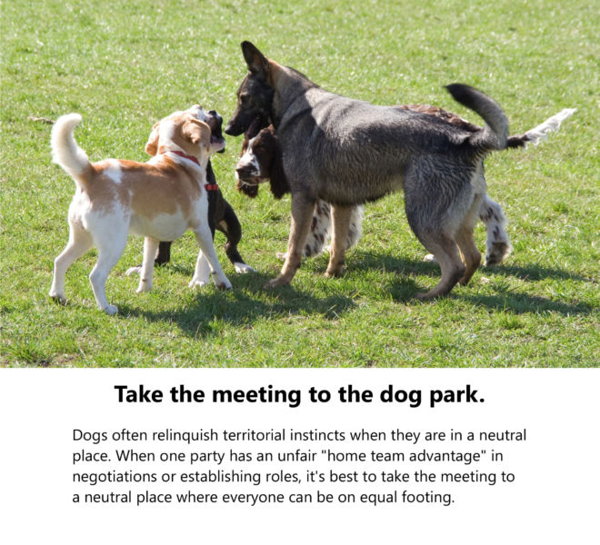 Management-Lessons-from-the-Dog-Park-by-Rosenof-pg16