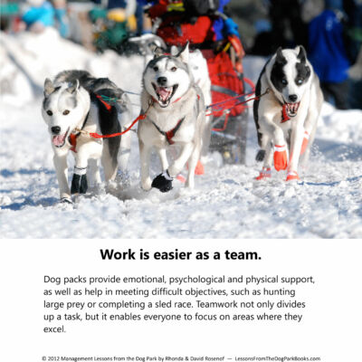 Management-Lessons-from-the-Dog-Park-by-Rosenof-pg18