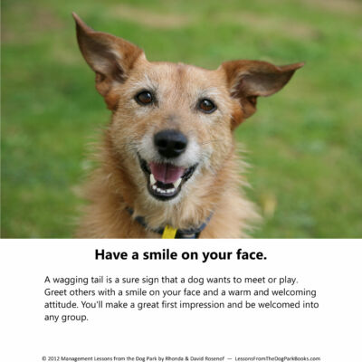 Management-Lessons-from-the-Dog-Park-by-Rosenof-pg6