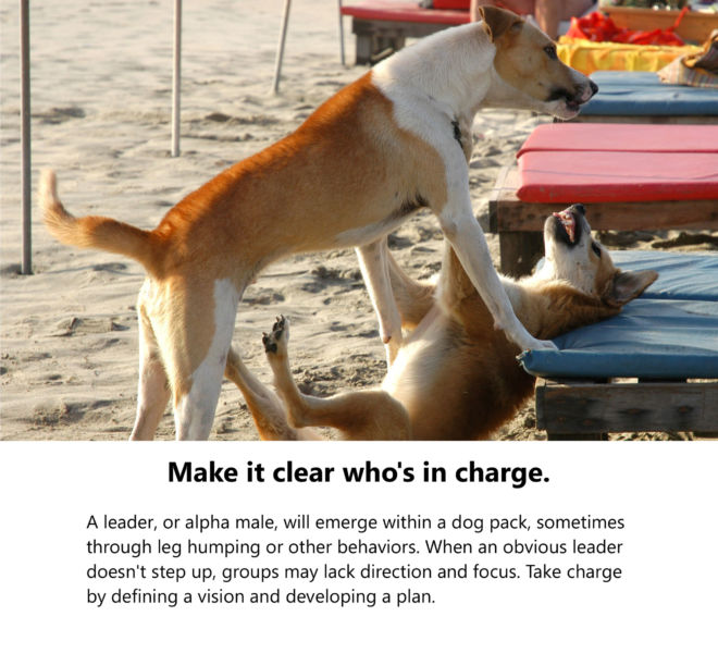 Management-Lessons-from-the-Dog-Park-by-Rosenof-pg8