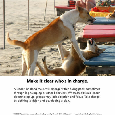 Management-Lessons-from-the-Dog-Park-by-Rosenof-pg8